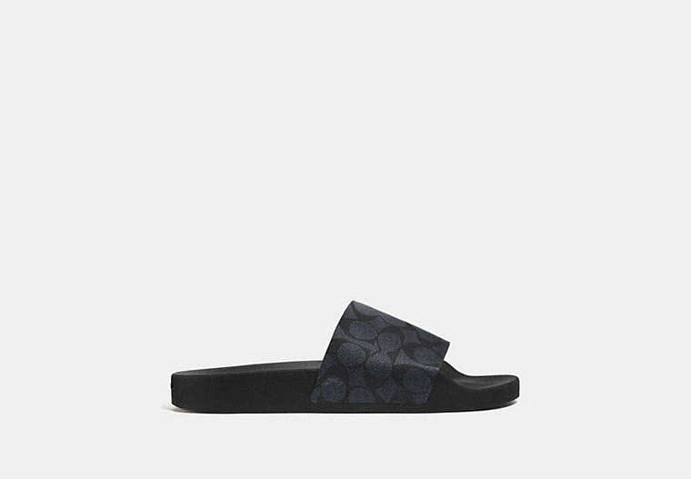 Pool Slide In Signature Canvas