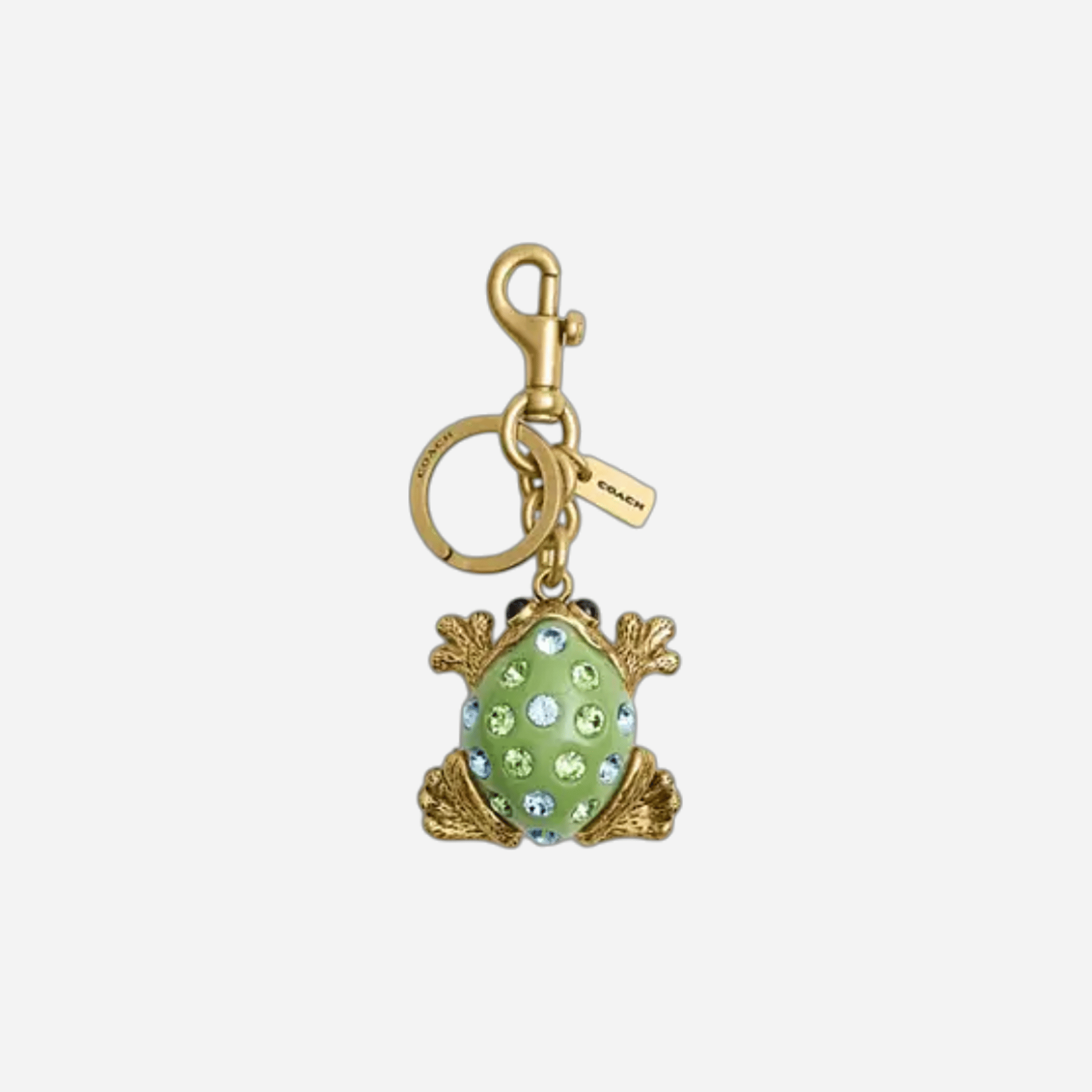 Coach Frog Bag Charm