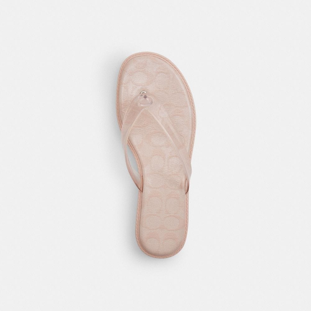 Jelly Flip Flop In Signature