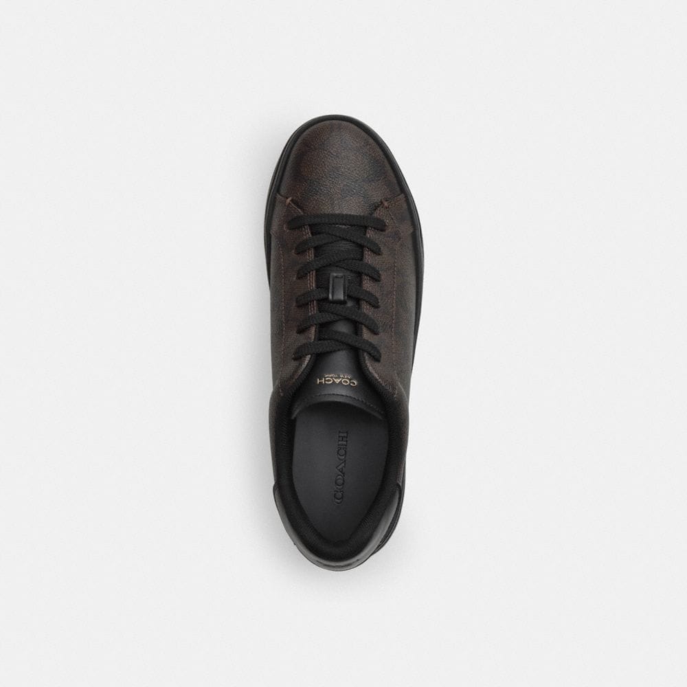 High Line Sneaker In Signature Canvas
