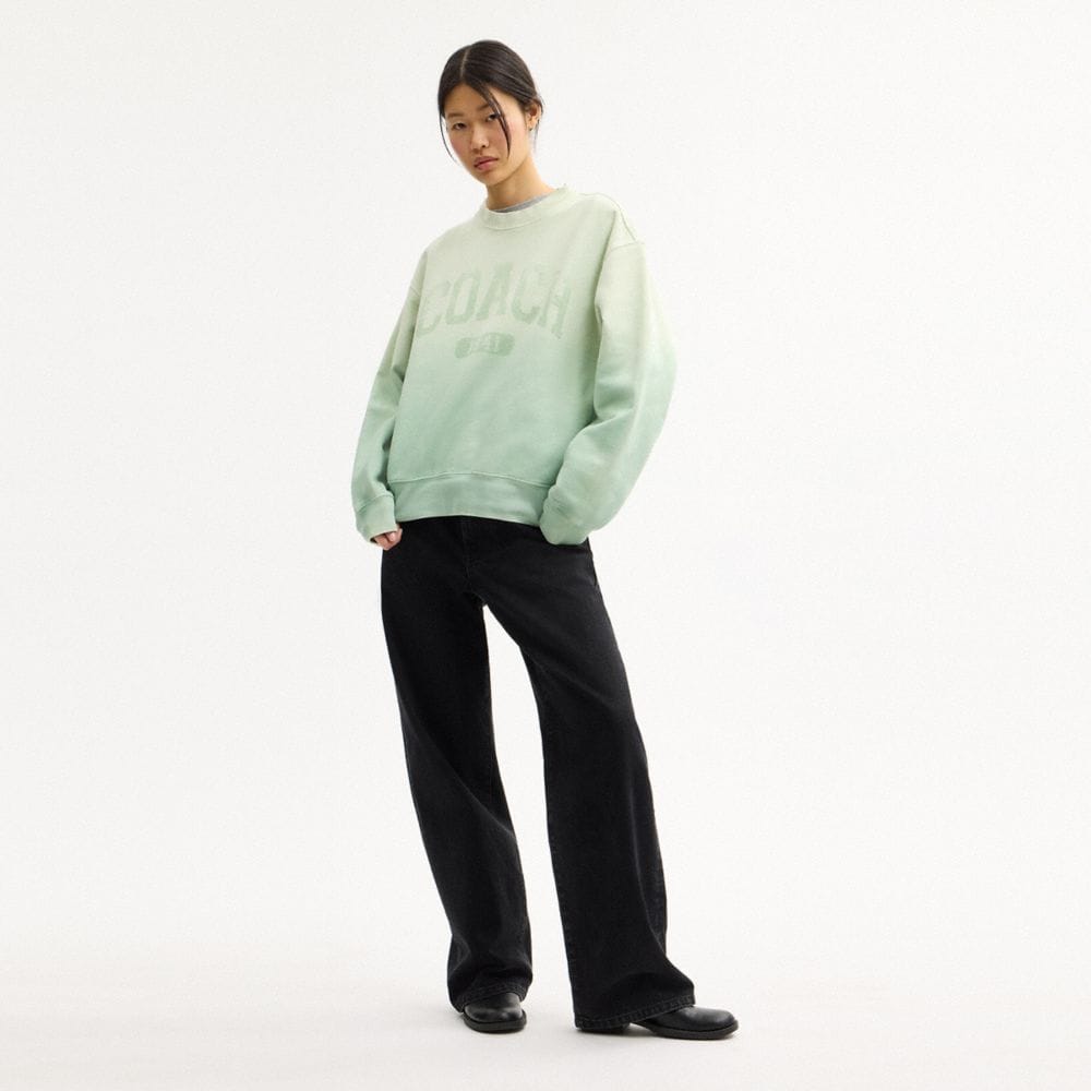 Ombre Sporty Crewneck Sweatshirt In Organic Cotton
