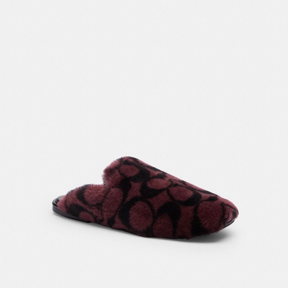 Slipper In Signature Shearling