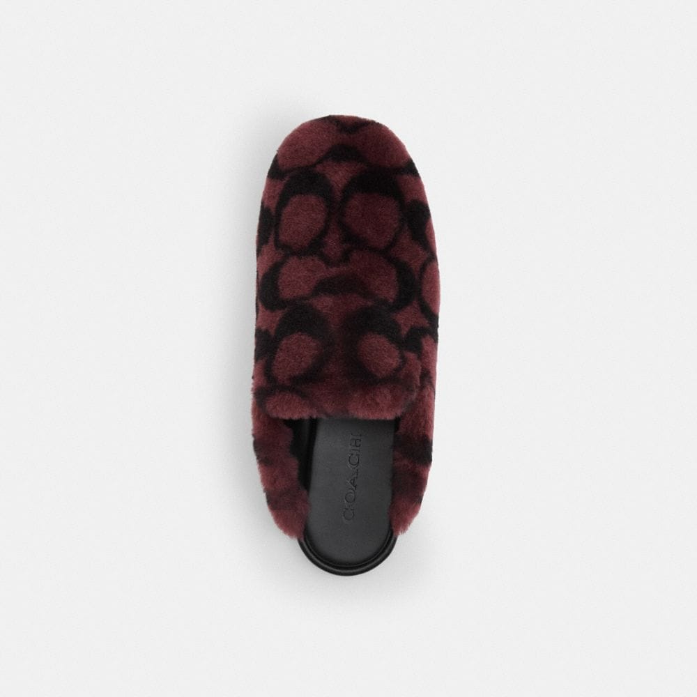 Slipper In Signature Shearling