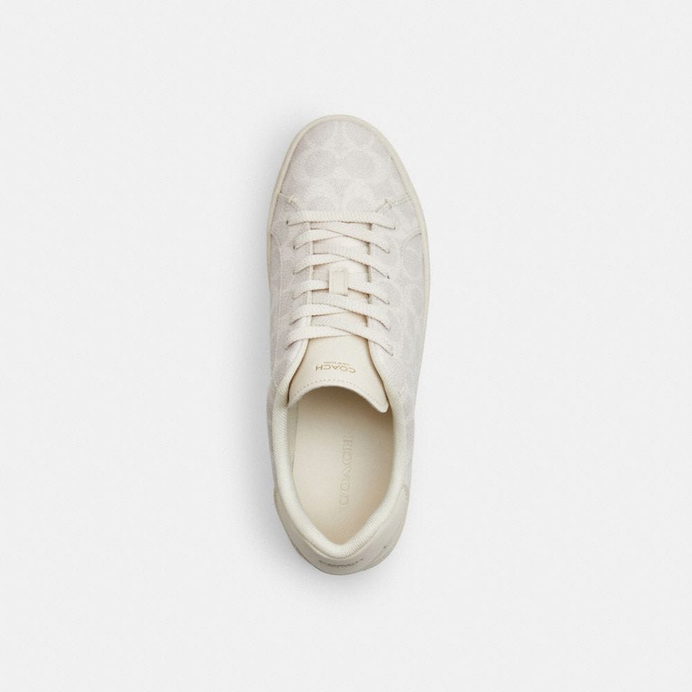 High Line Sneaker In Signature Canvas