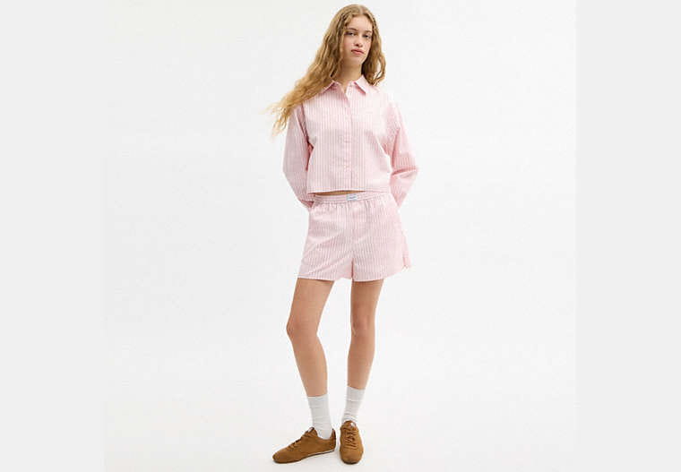 Cotton Button Down