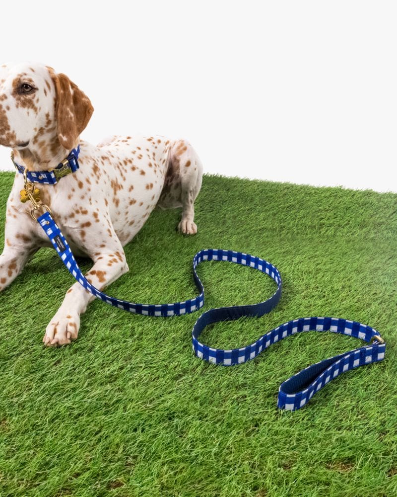 Navy Gingham Leash M/L