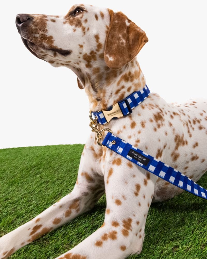 Navy Gingham Leash M/L
