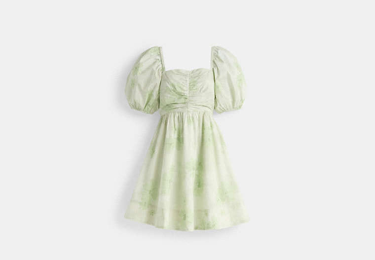 Restored Puff Sleeve Mini Dress
