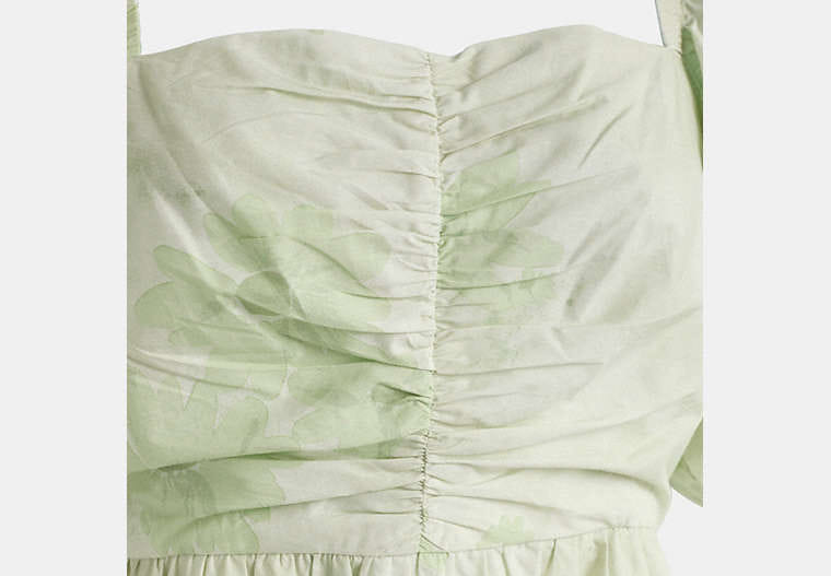 Restored Puff Sleeve Mini Dress