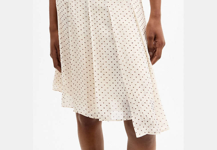 Printed Asymmetrical Pleated Skirt