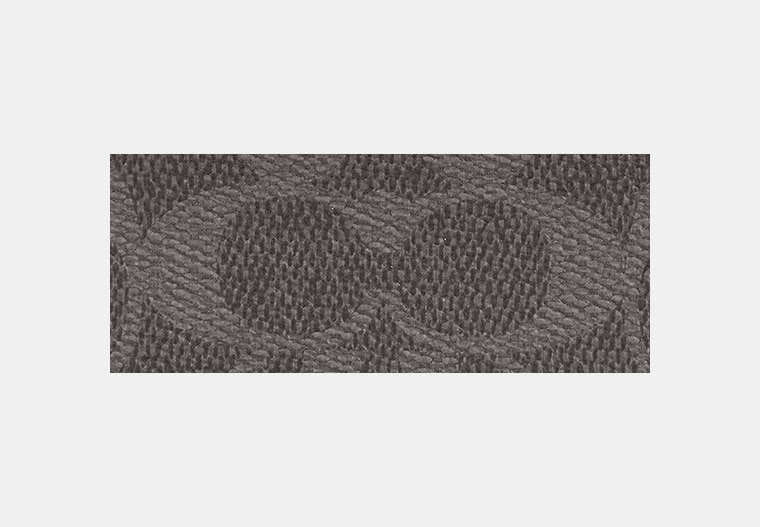 Zip Card Case With Chain In Signature Canvas