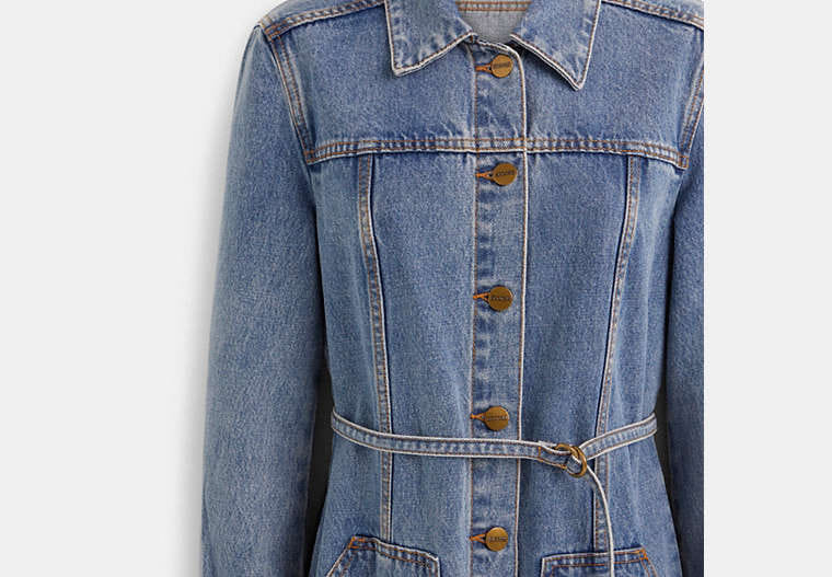 Restored Denim Dress