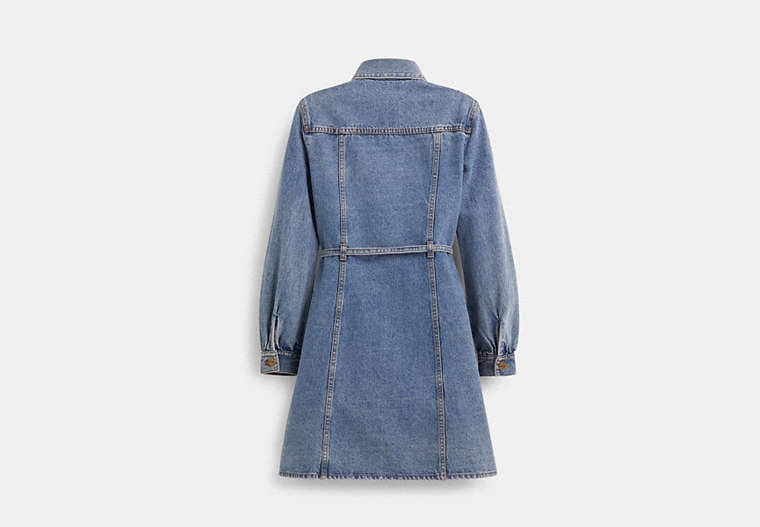 Restored Denim Dress