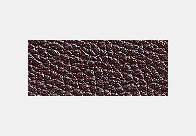Restored Small Snap Wallet