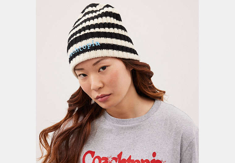 Beanie With Stripe Pattern