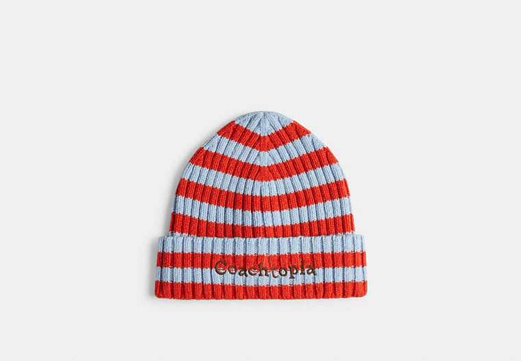 Beanie With Stripe Pattern