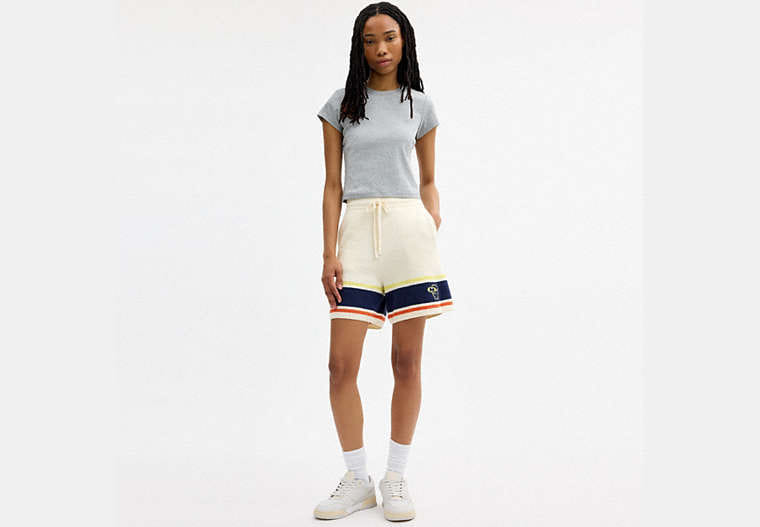 Coach | Brain Dead Striped Knit Shorts