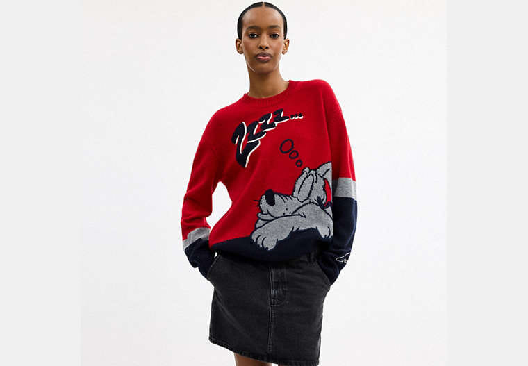 Disney X Coach Pluto Crewneck Sweater
