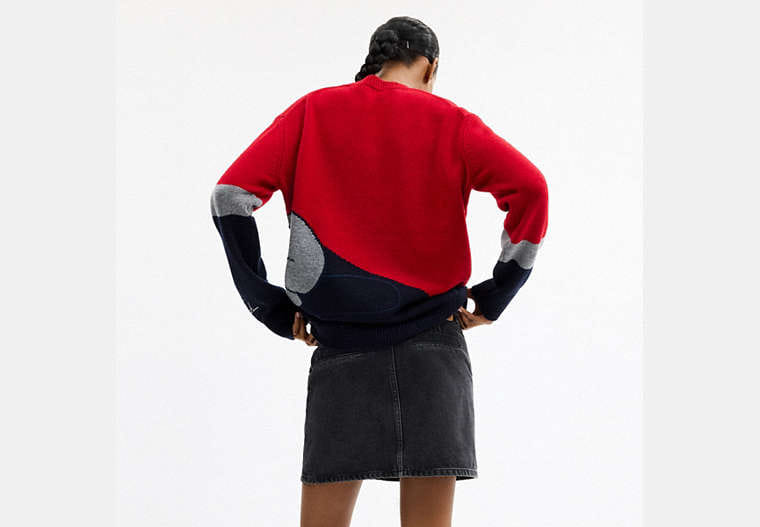 Disney X Coach Pluto Crewneck Sweater