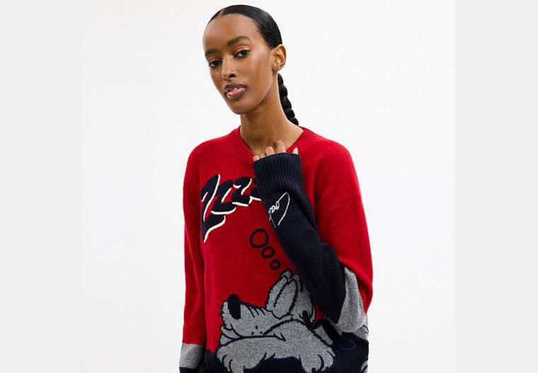 Disney X Coach Pluto Crewneck Sweater