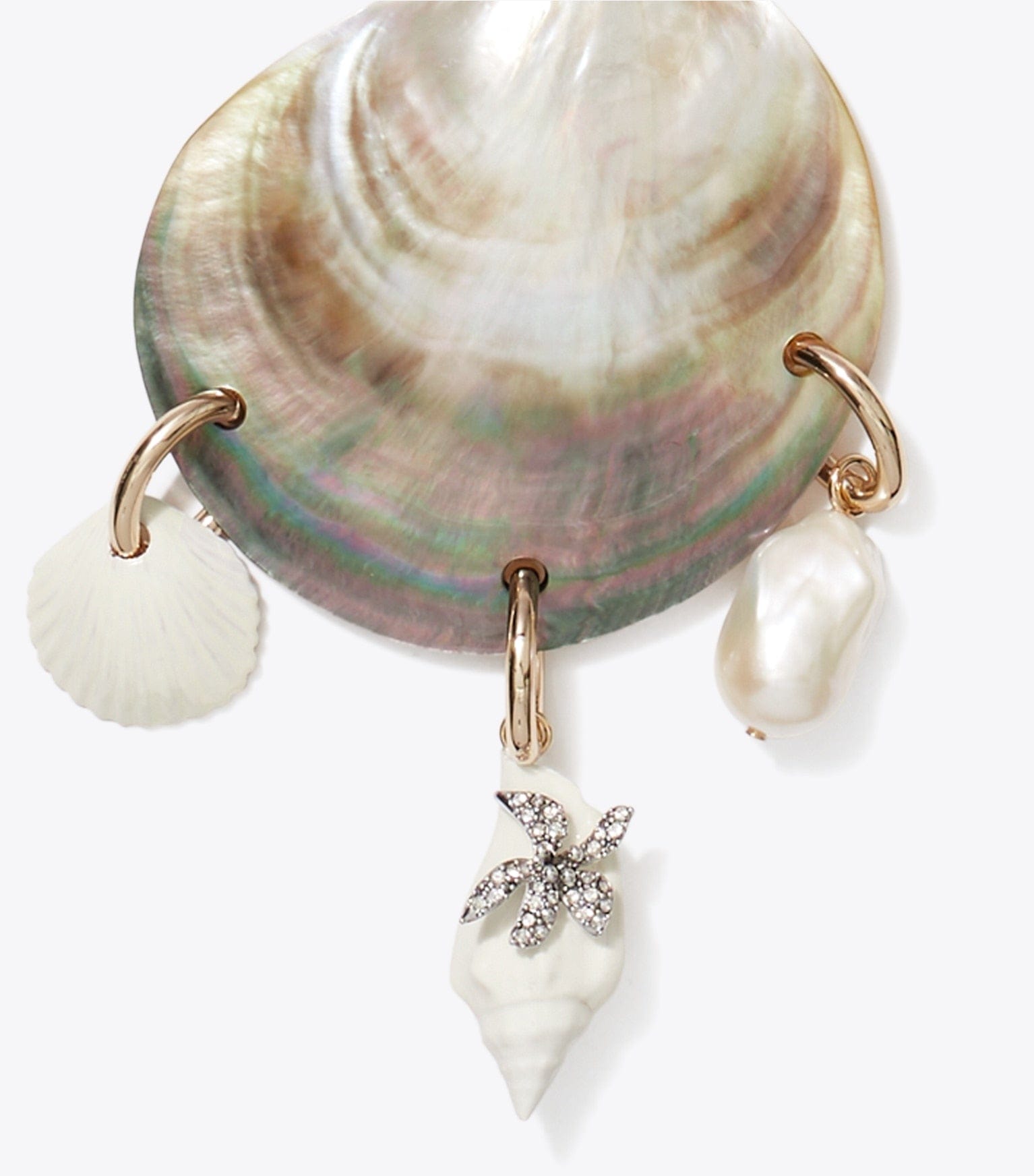Curiosity Shell Pendant Necklace