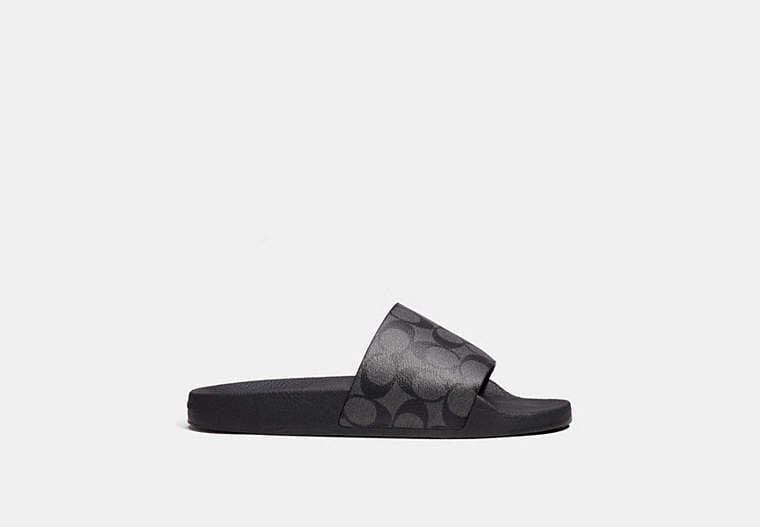 Slide In Signature Canvas