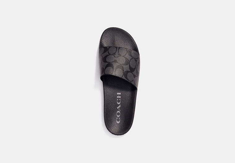 Slide In Signature Canvas