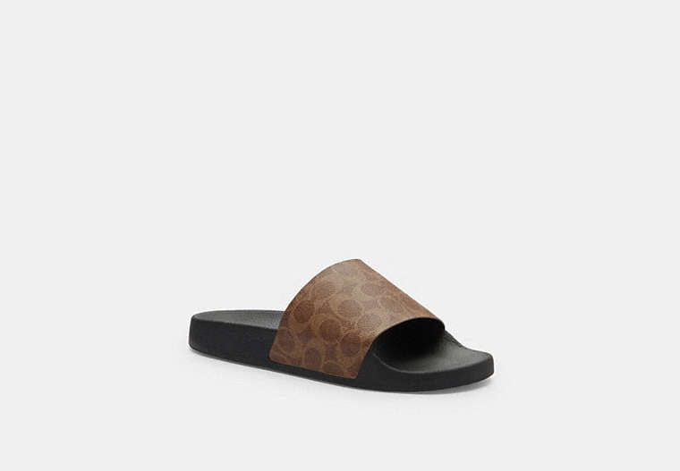 Slide In Signature Canvas