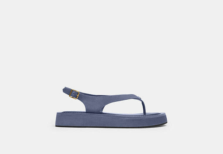 Sculpted C Platform Thong Sandal