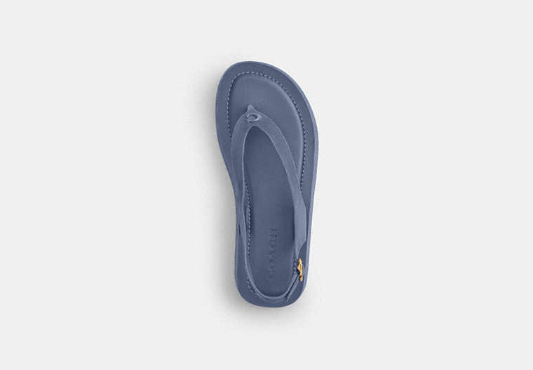 Sculpted C Platform Thong Sandal