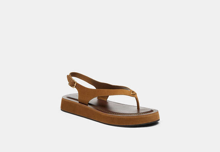 Sculpted C Platform Thong Sandal