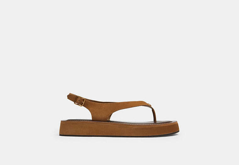 Sculpted C Platform Thong Sandal