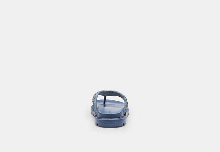 Brynn Thong Sandal In Crystal Signature Denim