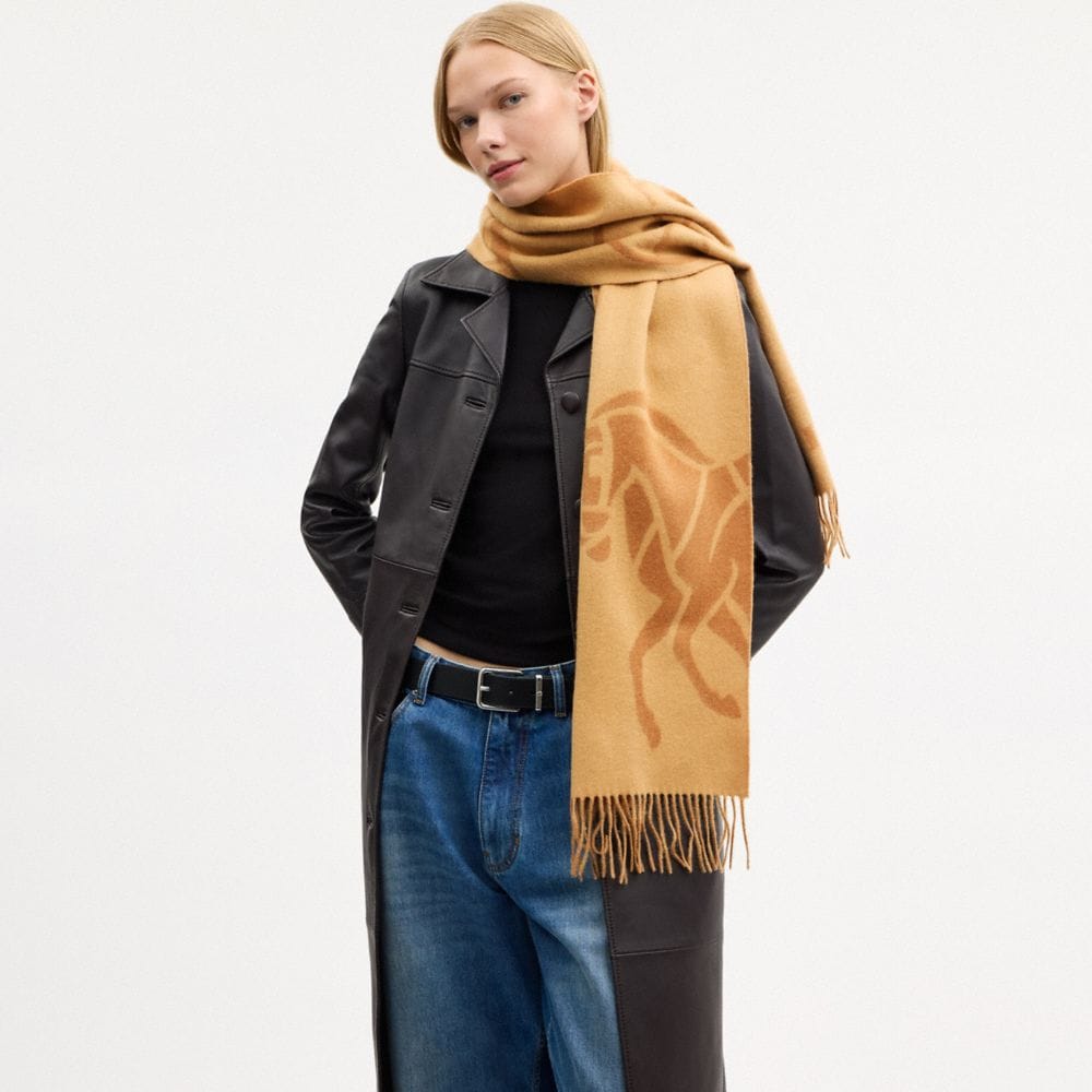 Horse And Carriage Cashmere Muffler