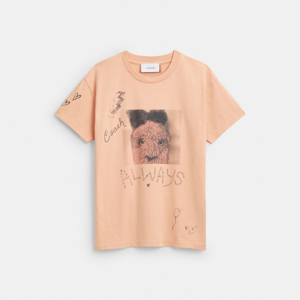 Carroty Shrunken T-Shirt In Organic Cotton