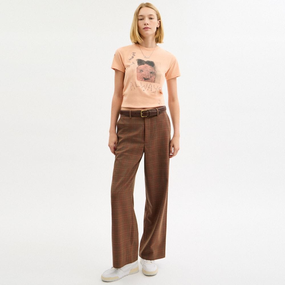 Carroty Shrunken T-Shirt In Organic Cotton