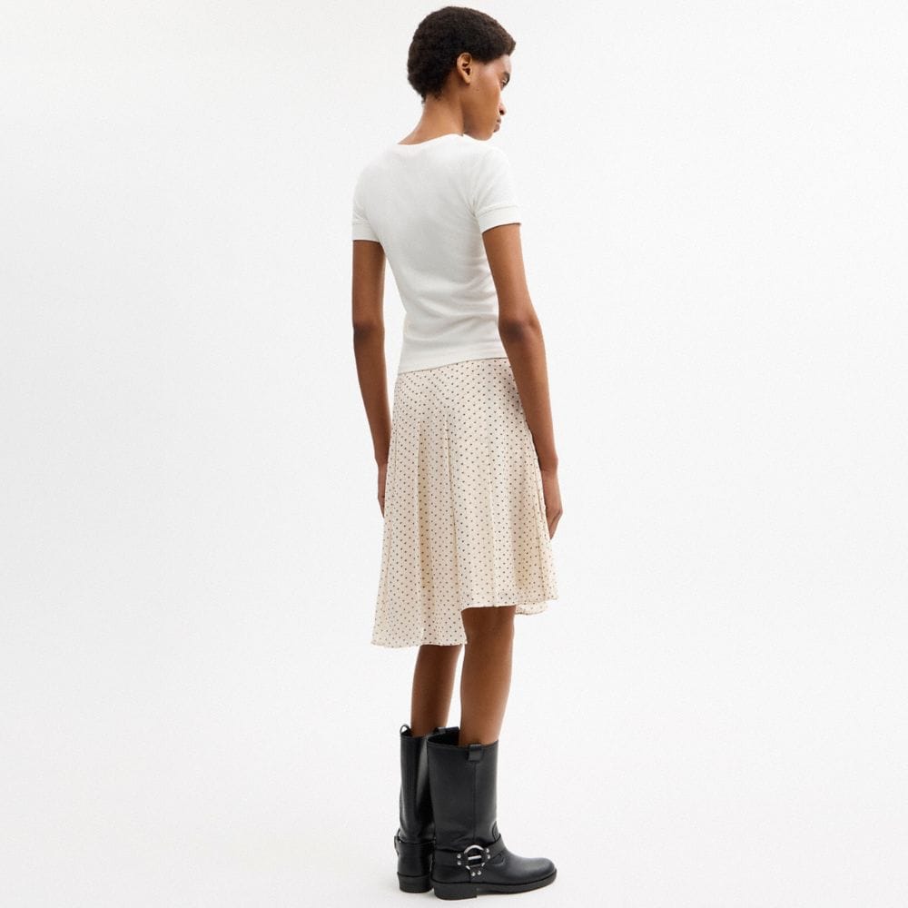 Printed Asymmetrical Pleated Skirt