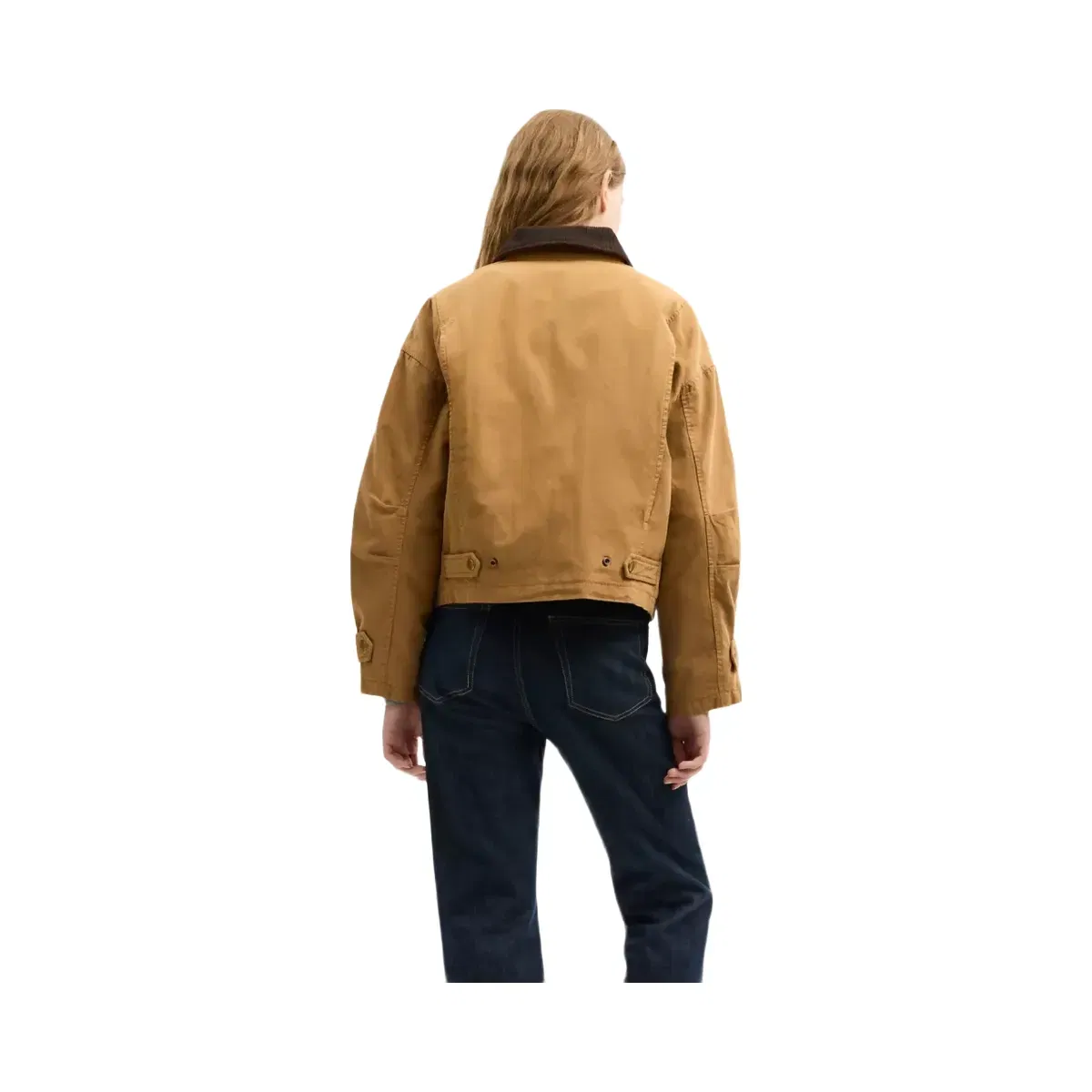 Coach Barn Jacket in Chestnut