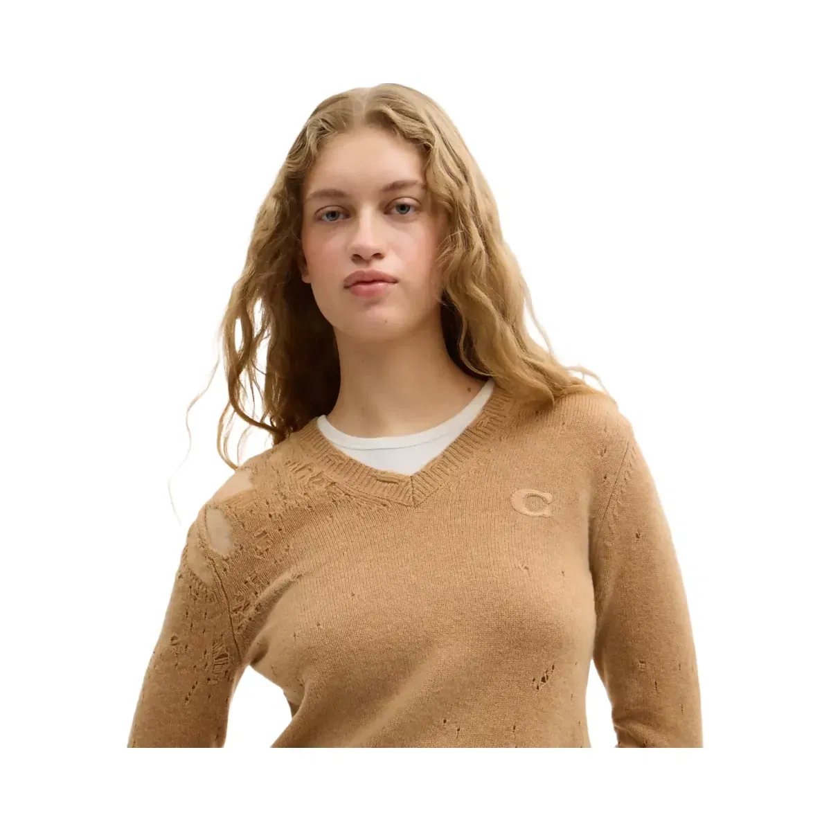 Coach Loved Long Sleeve V-Neck Sweater in Tan