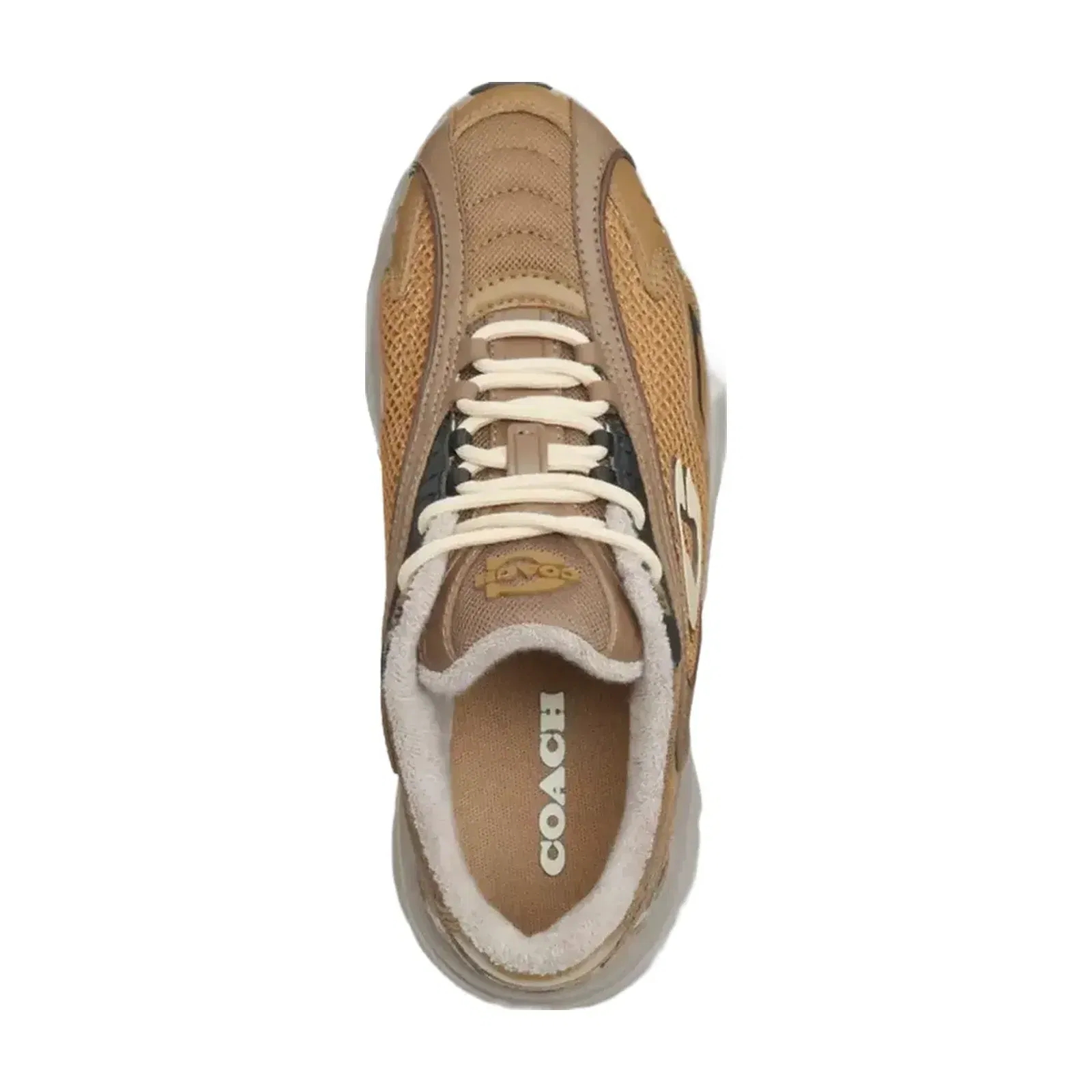 Coach Bolt Runner Sneaker in Dark Stone Multi