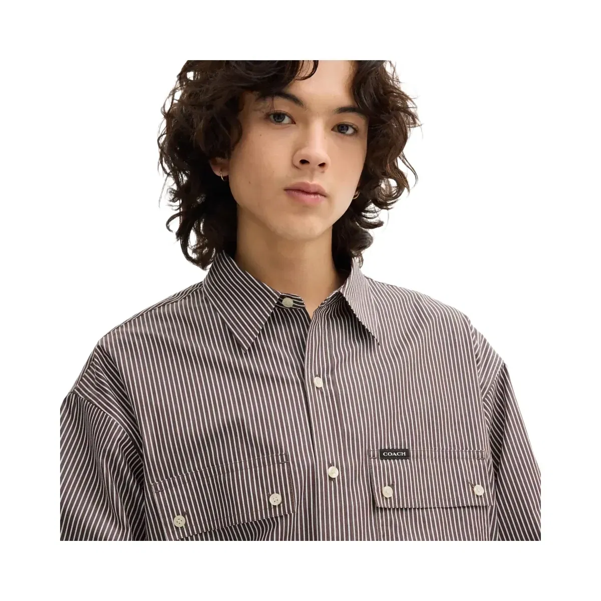 Coach Long Sleeve Button Up Shirt in Brown Stripe