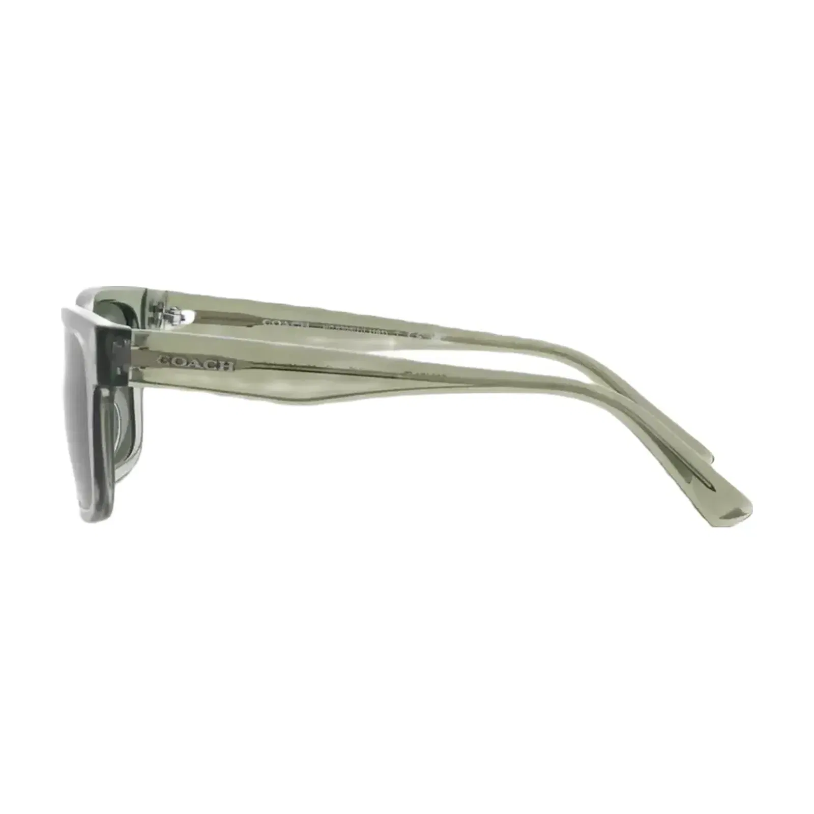 Coach Square Frame Sunglasses Transparent Green