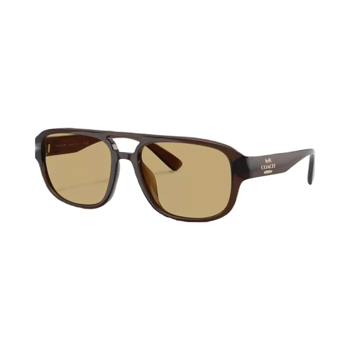 Coach Pilot Sunglasses in Transparent Brown
