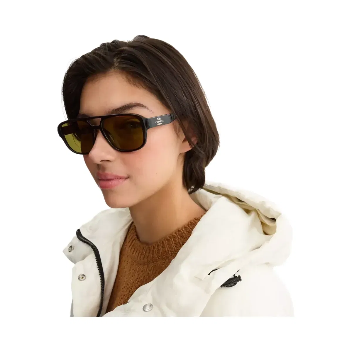 Coach Pilot Sunglasses in Transparent Brown