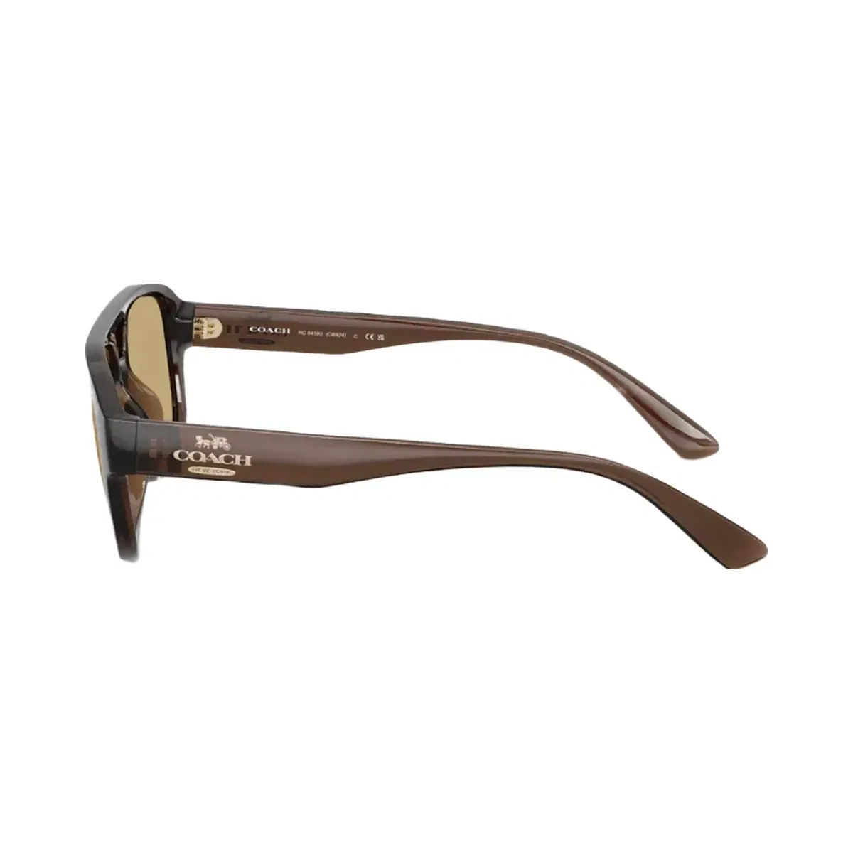 Coach Pilot Sunglasses in Transparent Brown