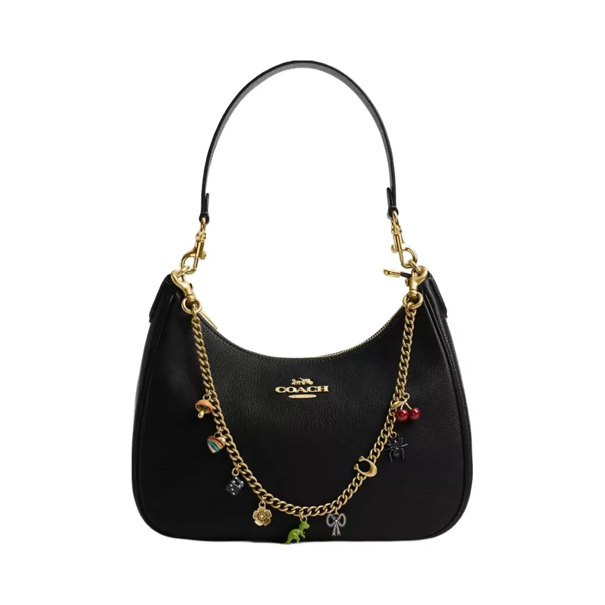 Coach Chain Strap With Charms in Brass Multi
