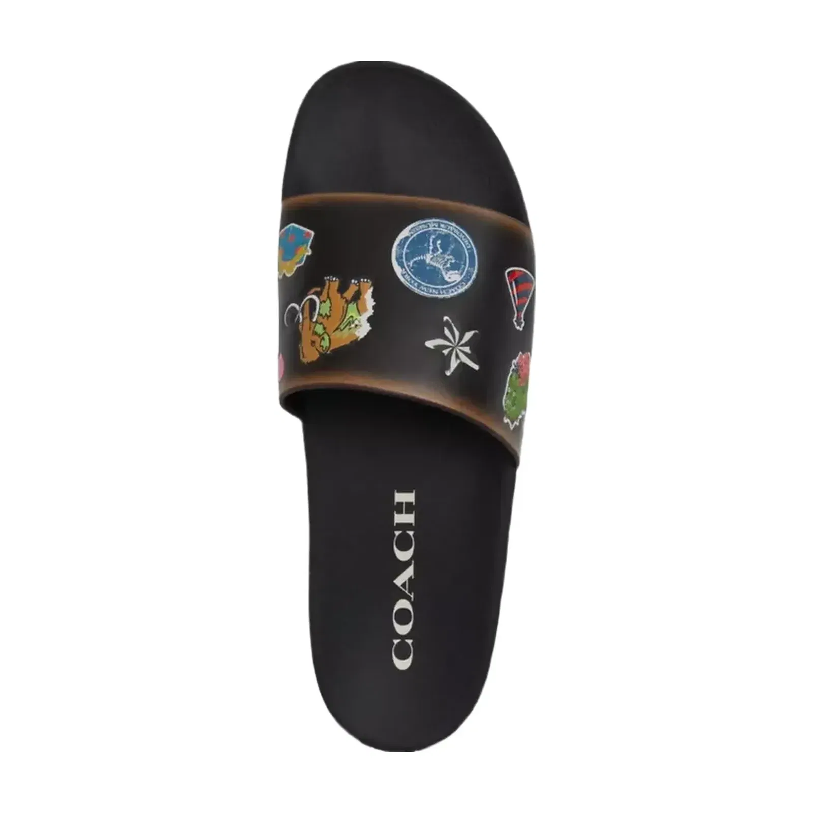 Coach Rexy 10th Birthday Pool Slide With Sticker Print in Black