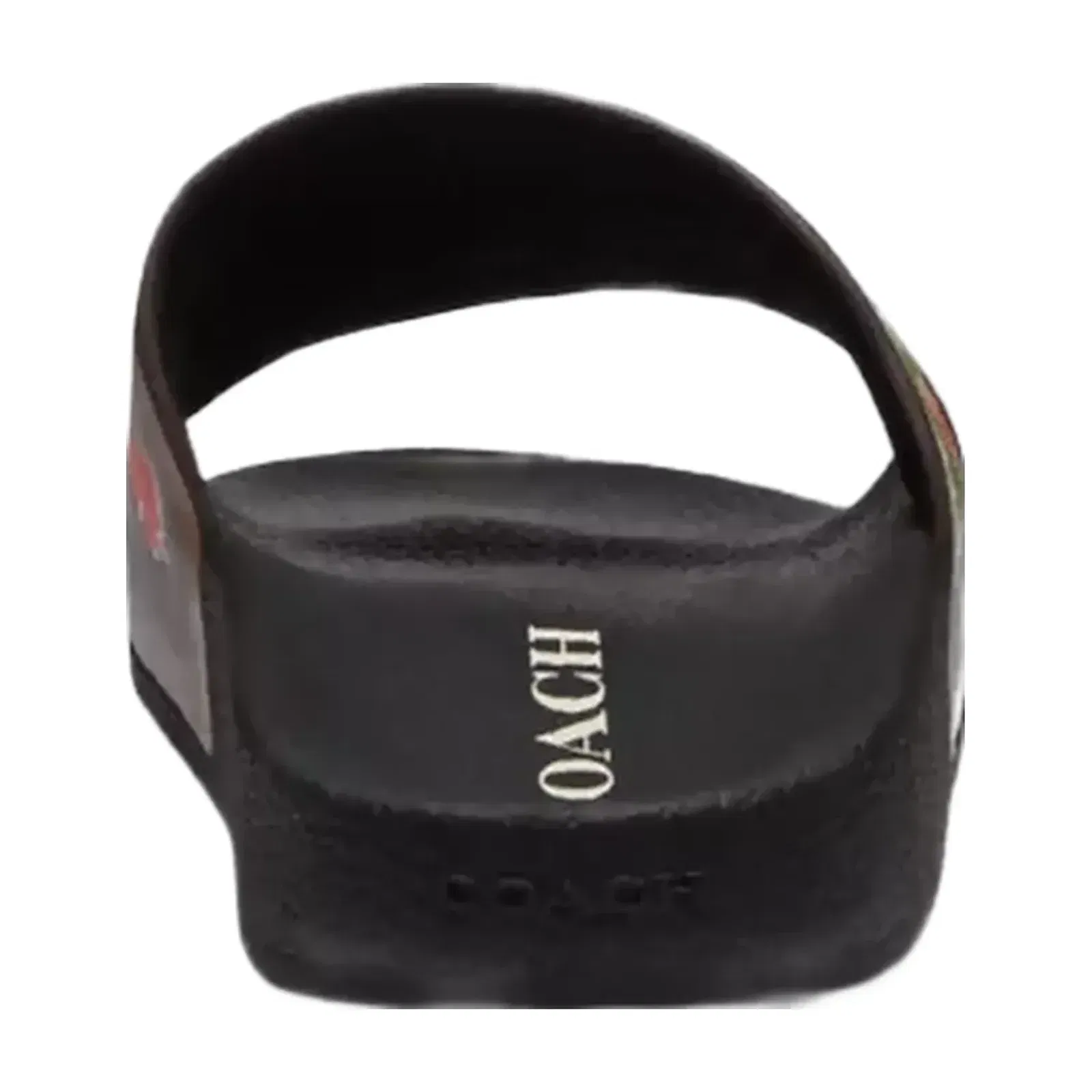 Coach Rexy 10th Birthday Pool Slide With Sticker Print in Black