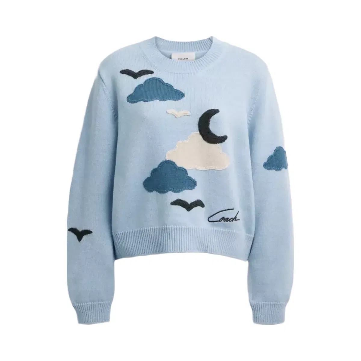 Coach Applique Sweater in Light Blue