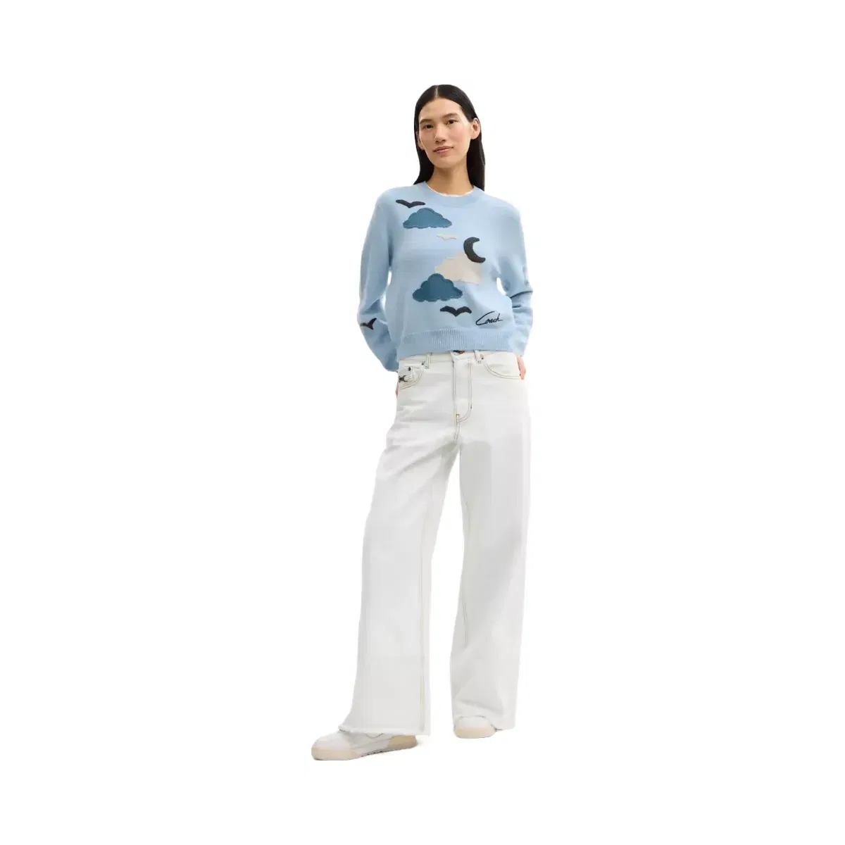 Coach Applique Sweater in Light Blue